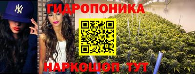 прущие крисы Апшеронск