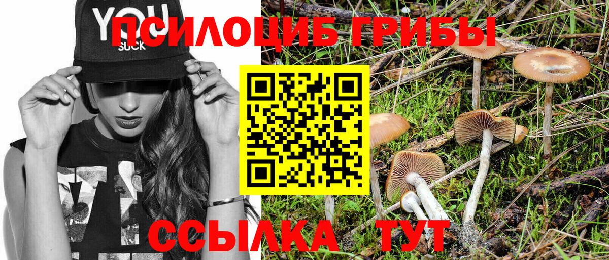 Псилоцибиновые грибы Magic Shrooms Борзя