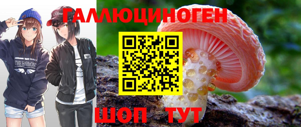 Псилоцибиновые грибы Psilocybine cubensis  Вход с VPN  Борзя  Галлюциногенные грибы Cubensis 
